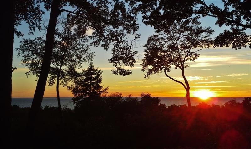 Pet-Friendly One Crow Cottage In Harbor Springs! Dış mekan fotoğraf